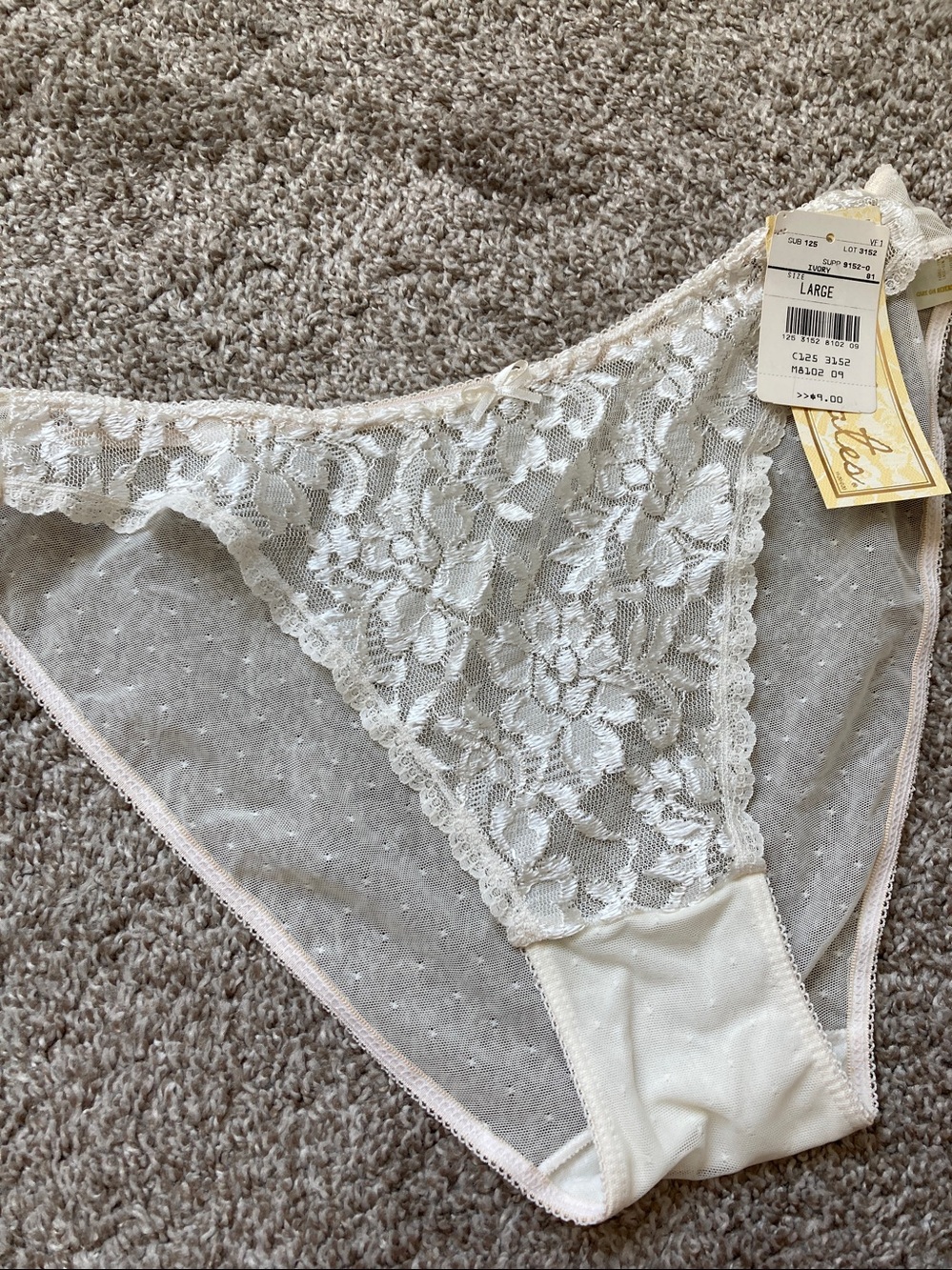 NWT Vintage 90s 80s Delicates Lace Hi cut Sheer swiss dot back Panties sz L